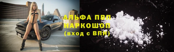 спайс Арсеньев